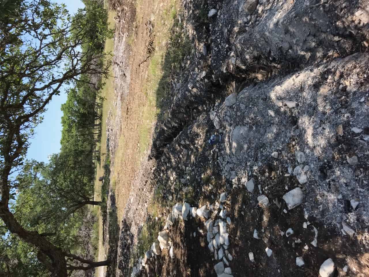 Landscaping Before Landscaping Before